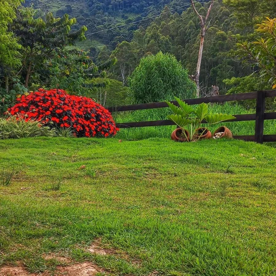 Chale Araucaria- Vale Das Pedras Mg Sapucaí-Mirim Eksteriør bilde