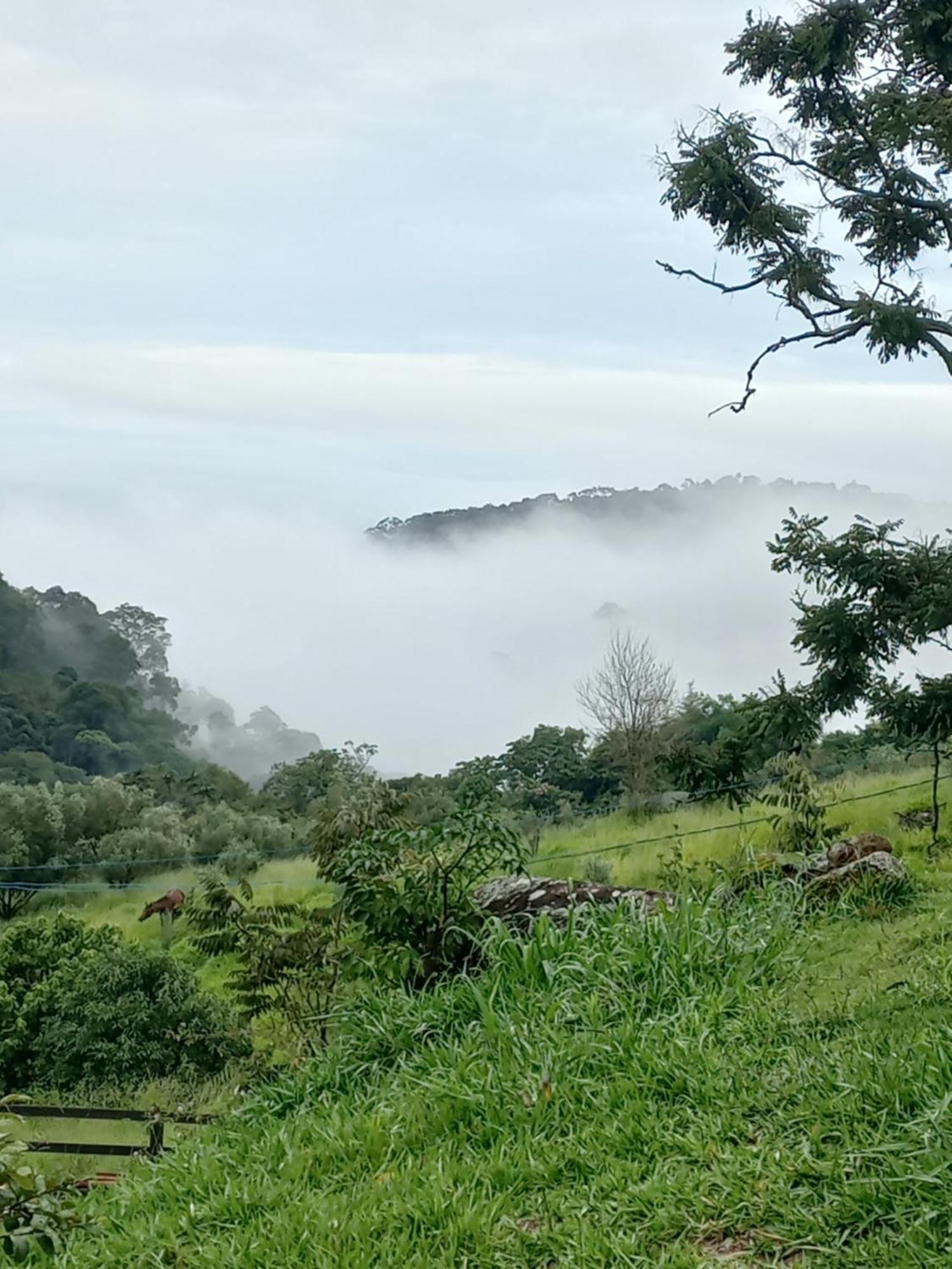 Chale Araucaria- Vale Das Pedras Mg Sapucaí-Mirim Eksteriør bilde