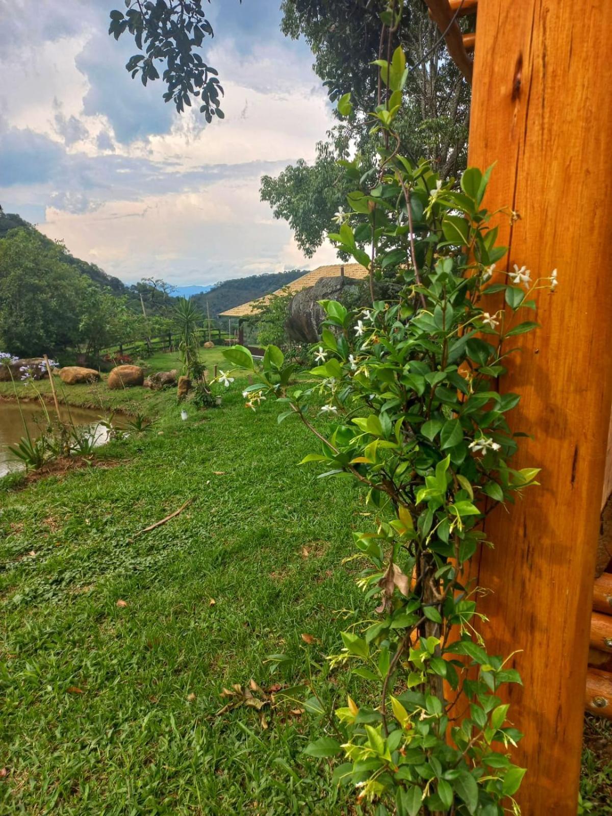 Chale Araucaria- Vale Das Pedras Mg Sapucaí-Mirim Eksteriør bilde